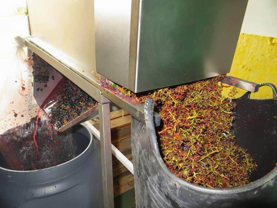 Fábrica de vino artesanal