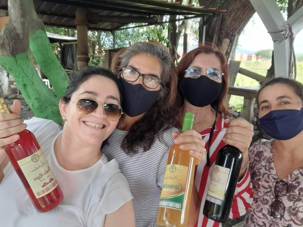 fabrica de aperitivos y vinos anllelino cali colombian ginebra guacari buga santa elena
