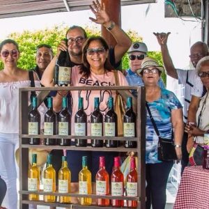Fábrica de vino artesanal