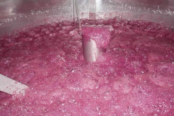 mosto vino artesanal fabrica Anllelino