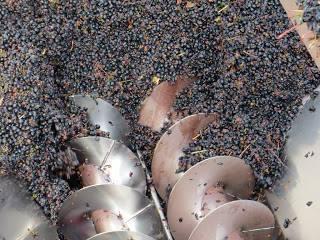 Fábrica de vino artesanal
