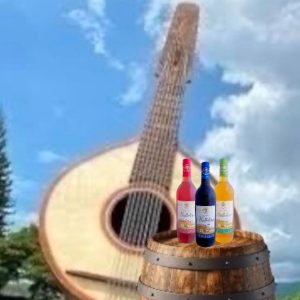 anllelino vino artesanal de ginebra valle colombia